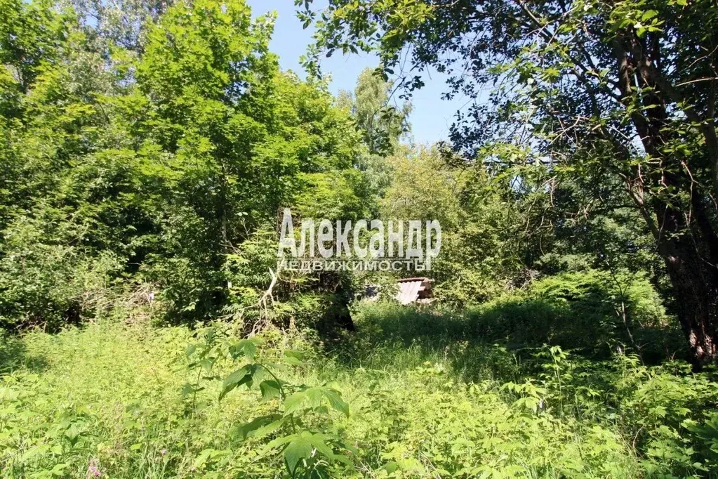 Участок в Ленинградская область, Выборгский район, Селезневское с/пос, ... - Фото 1