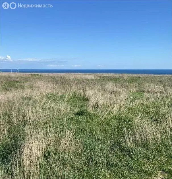 Участок в Черноморский район, село Новосельское (12 м) - Фото 0