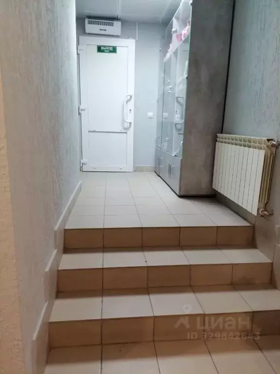 Помещение свободного назначения в Новосибирская область, Новосибирск ... - Фото 2