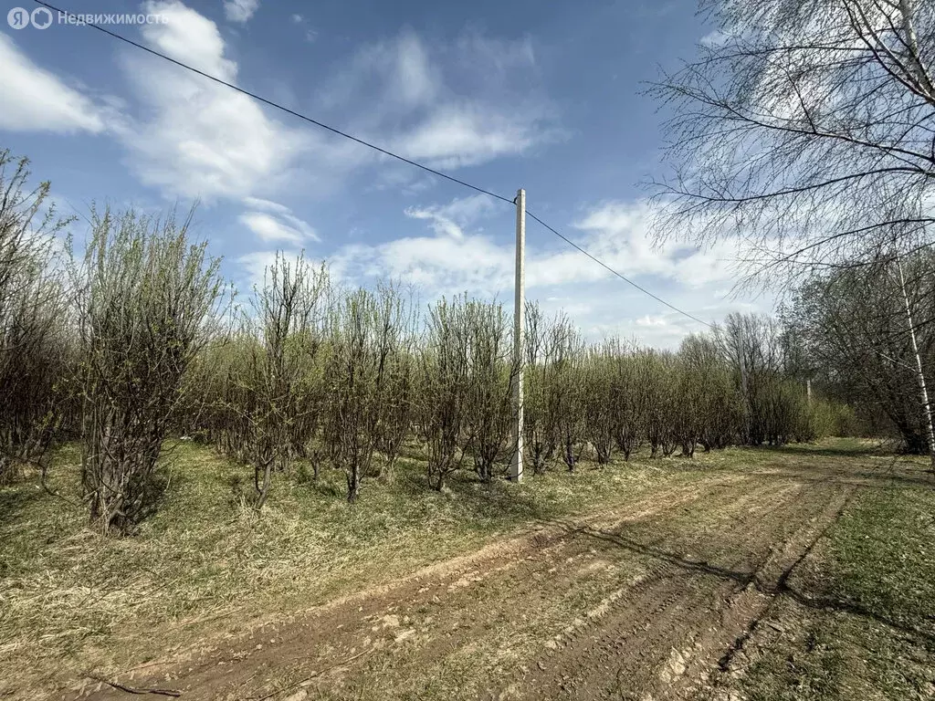 Участок в Ярославская область, Переславль-Залесский муниципальный ... - Фото 0