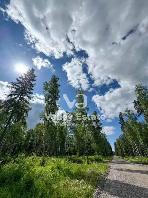 Участок, 25.4 сот., сельхоз (снт или днп) - Фото 1