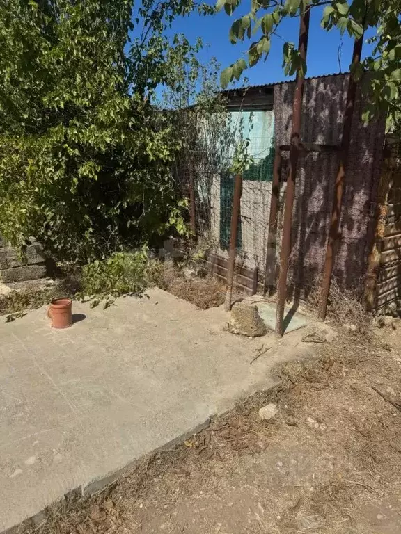 Участок в Крым, Сакский район, Суворовское с/пос, Сокол садовое ... - Фото 1