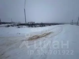 Участок в Белгородская область, Корочанский район, с. Погореловка, ... - Фото 2