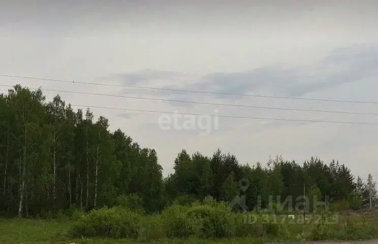 Участок в Свердловская область, Белоярский муниципальный округ, д. ... - Фото 1