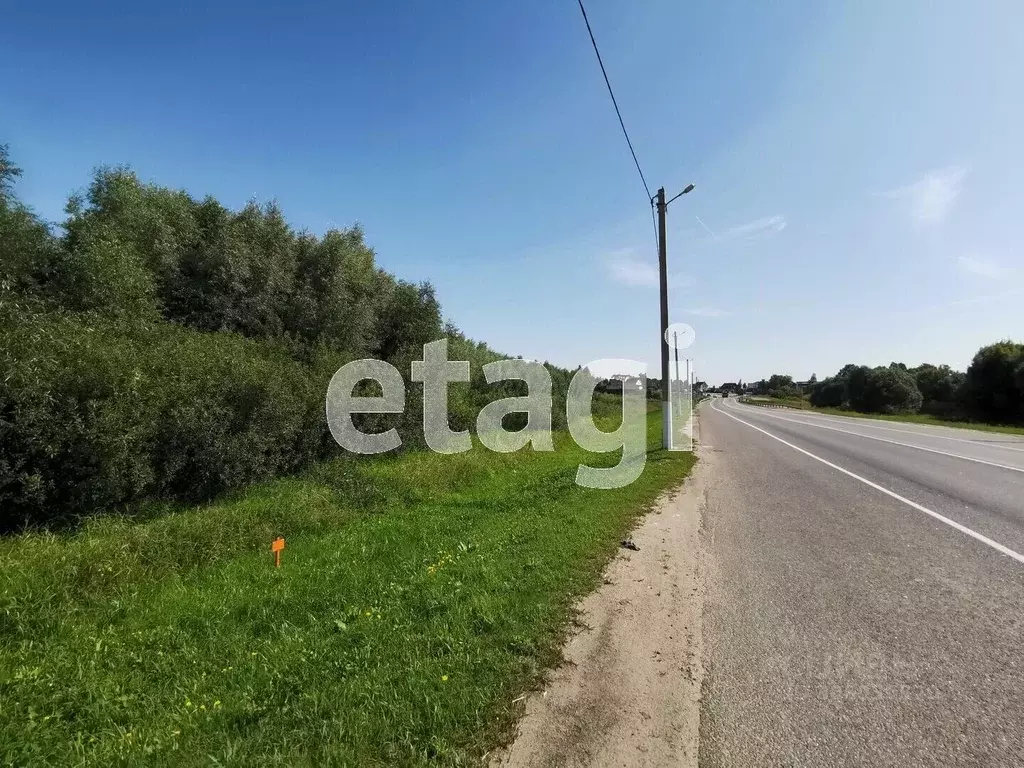Участок в Брянская область, Выгоничский район, Кокинское с/пос, с. ... - Фото 1