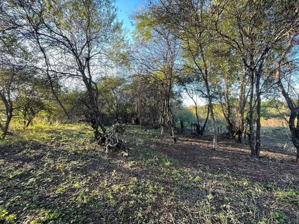 Участок в Краснодарский край, Мостовский район, Переправная ст-ца ул. ... - Фото 2
