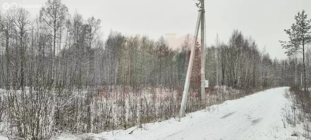 Участок в Виллозское городское поселение, массив Офицерское Село (17 ... - Фото 0