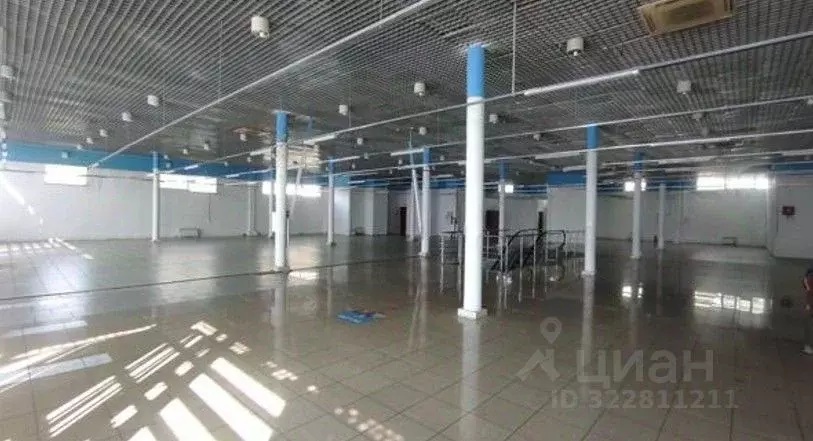Торговая площадь в Санкт-Петербург просп. Культуры, 20 (1000 м) - Фото 1