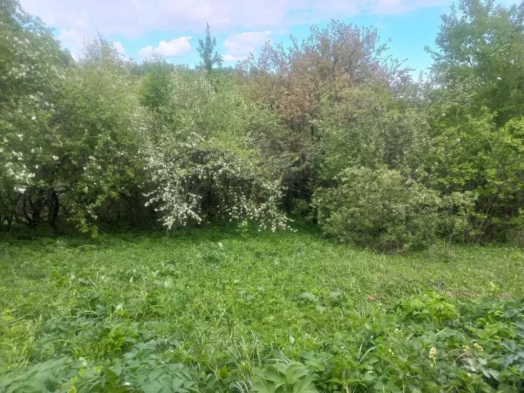 Участок в Алтай, Горно-Алтайск Рябинушка СНТ,  (5.8 сот.) - Фото 2