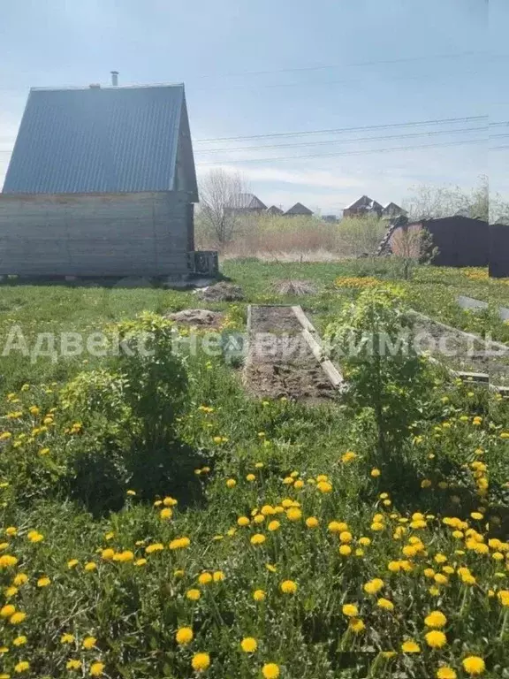 Участок в Тюменская область, Тюмень Березняки-2 садовое товарищество, ... - Фото 1