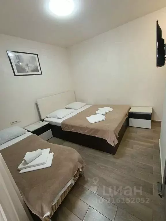 Комната Краснодарский край, Геленджик Морская ул., 25 - Фото 2