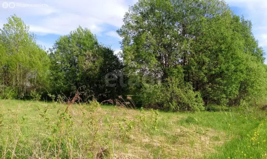 Дом в деревня Некрасово, Приозёрная улица (80 м) - Фото 0