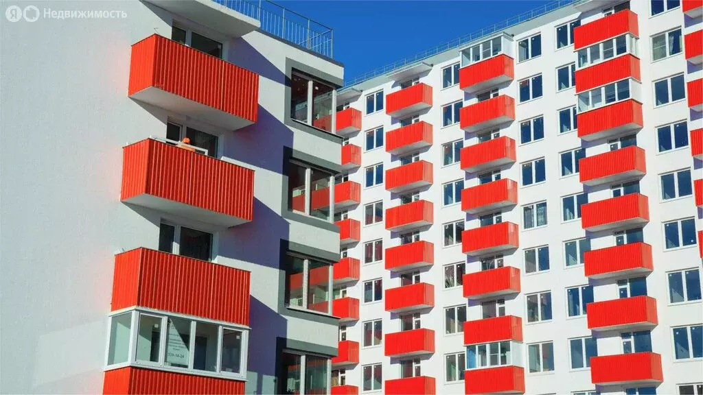 Квартира-студия: Шушары, Московское шоссе, 262к4 (32.6 м) - Фото 2