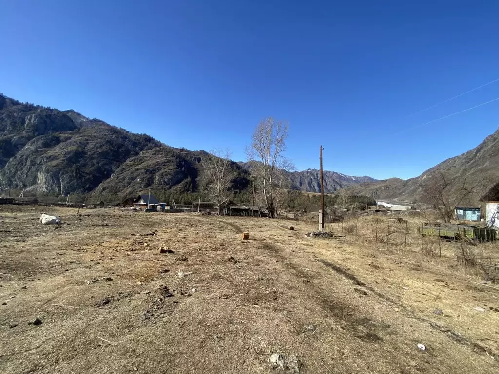 Участок в Алтай, Чемальский район, с. Еланда Новая ул. (11.6 сот.) - Фото 2