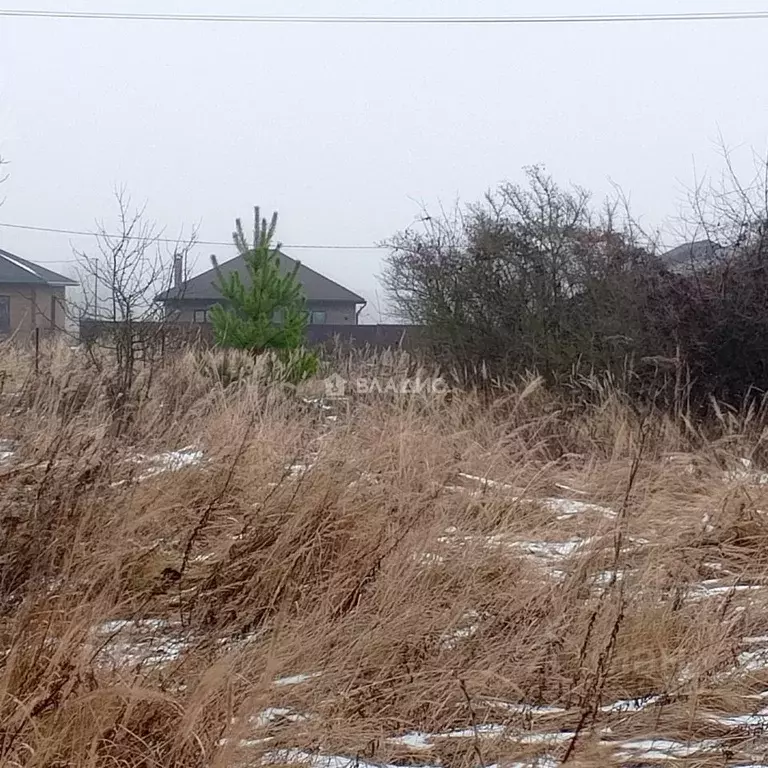 Участок в Московская область, Коломна городской округ, с. Никульское  ... - Фото 1