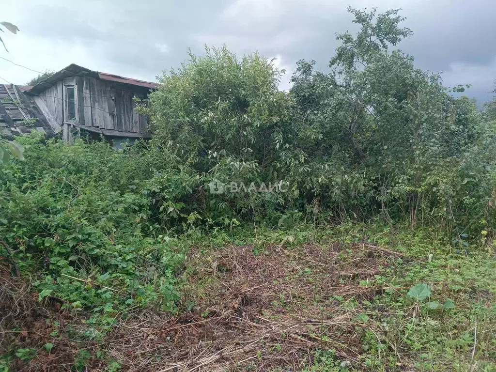 Участок в Нижегородская область, Богородский муниципальный округ, с. ... - Фото 2