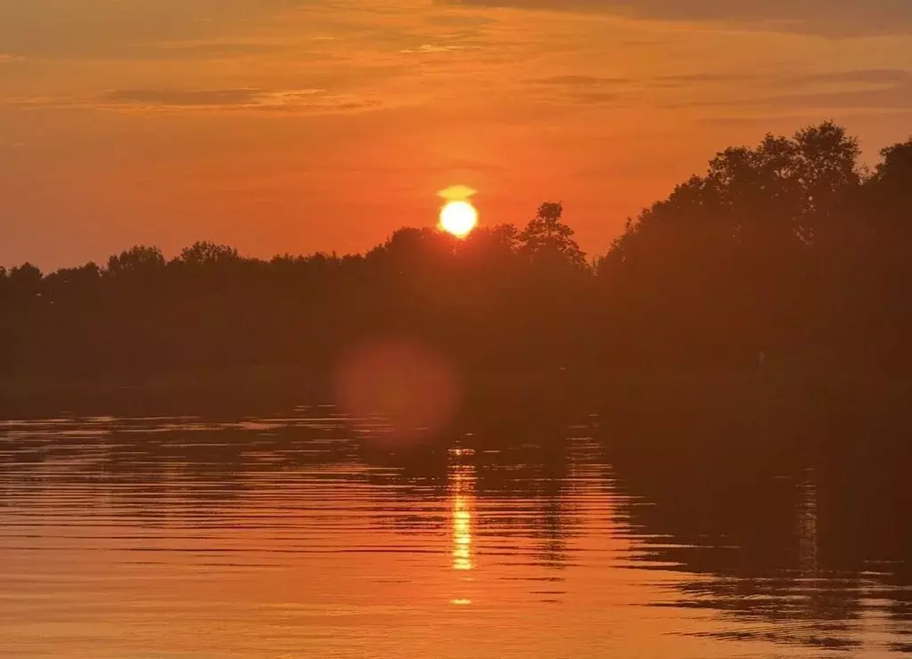 Участок в Ленинградская область, Выборгский район, Полянское с/пос, ... - Фото 1
