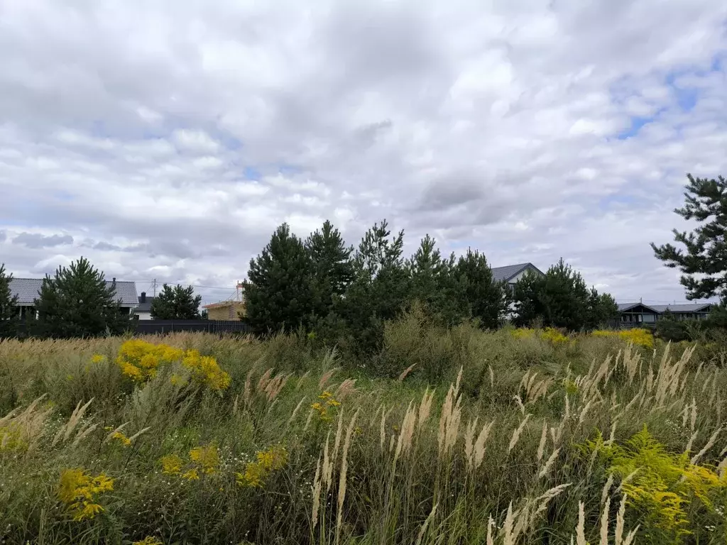 Участок в Московская область, Раменский муниципальный округ, д. Жирово ... - Фото 2