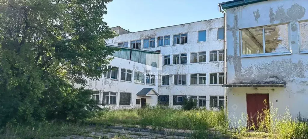 Помещение свободного назначения в Амурская область, Шимановск ул. ... - Фото 1