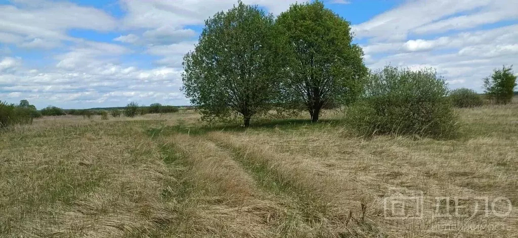 Участок в Рязанская область, Спасский район, Киструсское с/пос, с. ... - Фото 1