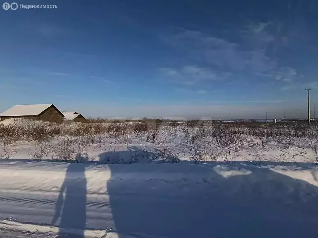 Участок в Тюменский муниципальный округ, деревня Малиновка (5.9 м) - Фото 1