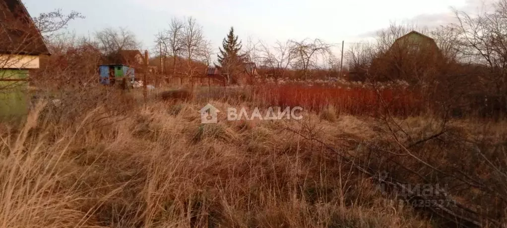 Участок в Калининградская область, Багратионовский муниципальный ... - Фото 1