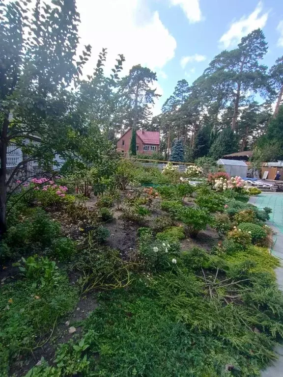 Участок в Новосибирская область, Новосибирск Дачное ш. (10.0 сот.) - Фото 0