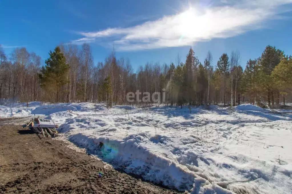 Участок в Тюменская область, Нижнетавдинский район, Сундукуль СНТ  ... - Фото 0