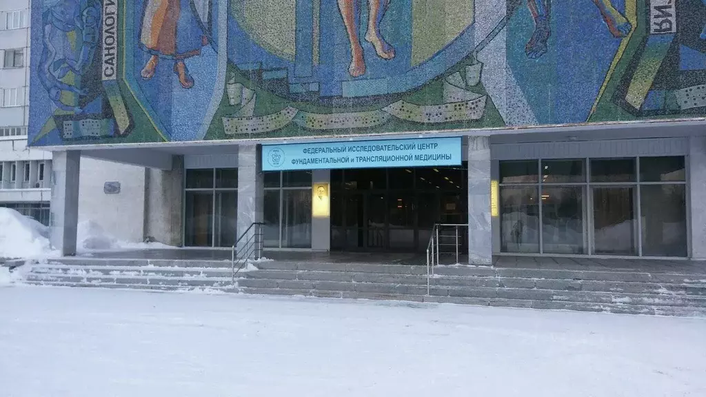 Помещение свободного назначения в Новосибирская область, Новосибирск ... - Фото 1