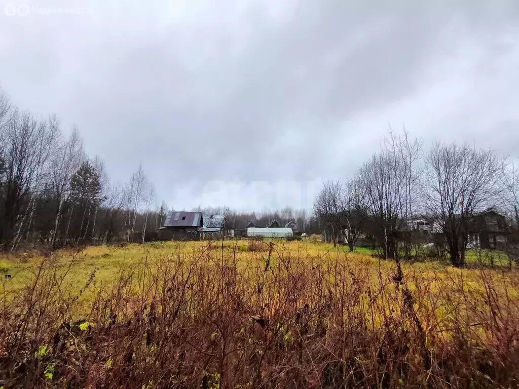Участок в Медведевский район, Азяковское сельское поселение, СНТ Клён ... - Фото 1