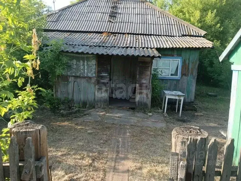 Дом в Алтайский край, Ребрихинский район, Беловский сельсовет, с. ... - Фото 1