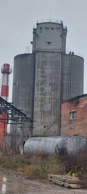 Помещение свободного назначения в Московская область, Воскресенск ... - Фото 0