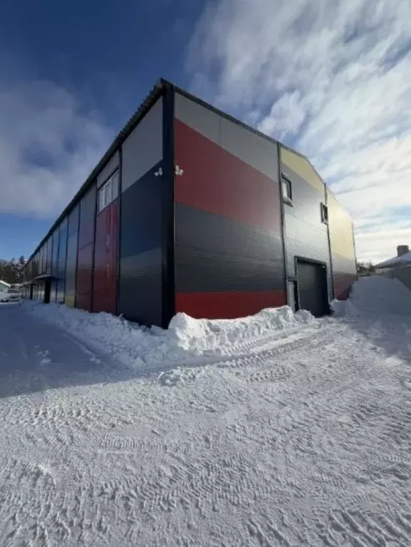 Склад в Московская область, Пушкинский городской округ, пос. Лесные ... - Фото 1