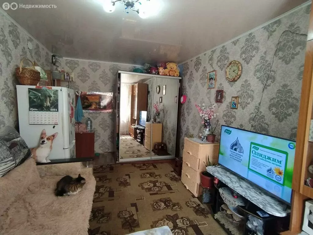 1к в 8-комнатной квартире (18 м) - Фото 0