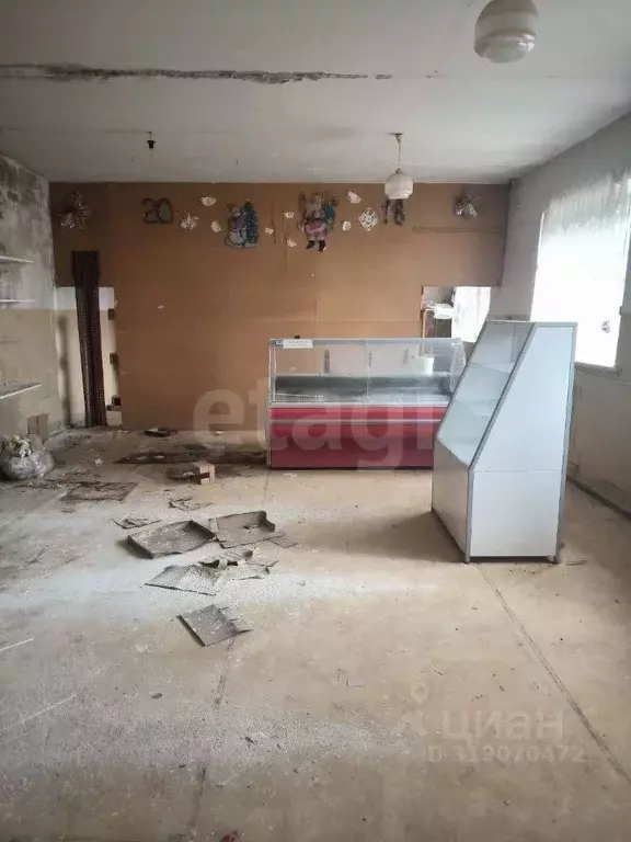 Помещение свободного назначения в Ярославская область, Тутаевский ... - Фото 0
