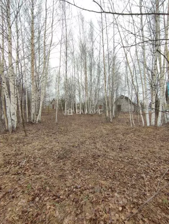 Участок в Марий Эл, Медведевский район, Знаменское с/пос, д. Яметкино  ... - Фото 2