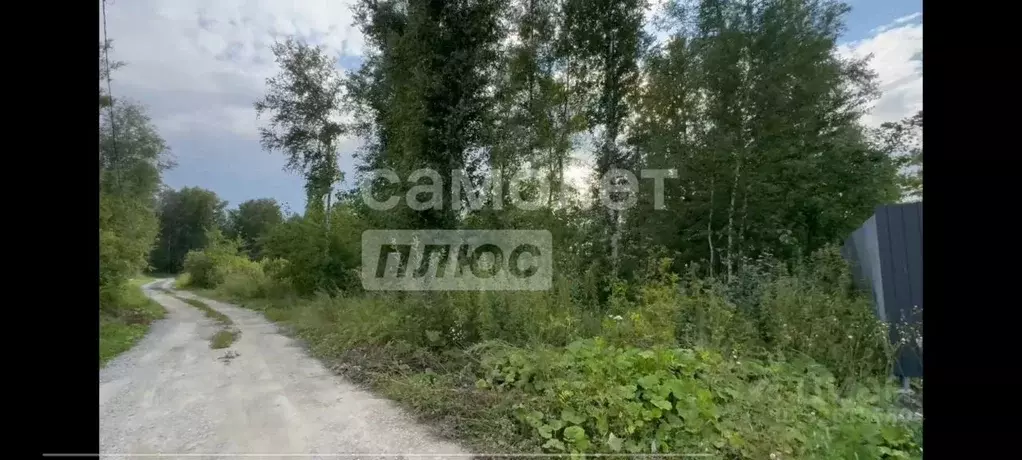 Участок в Тюменская область, Тюмень Зауралец СНТ, ул. Медиков (7.1 ... - Фото 1