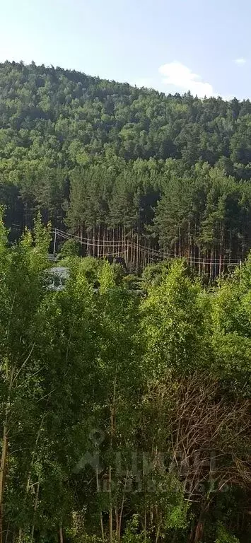 2-к кв. Челябинская область, Миасс ул. Вернадского, 38 (60.0 м) - Фото 1