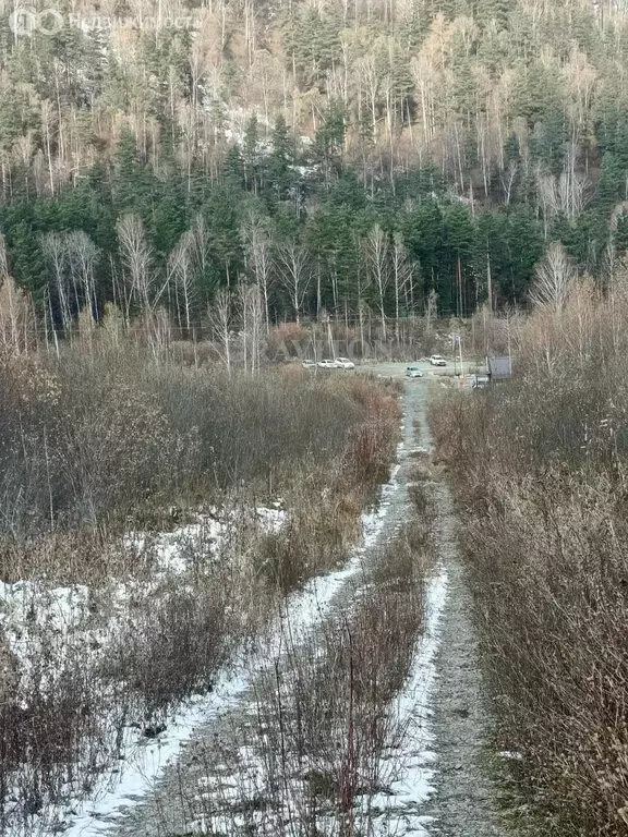 Участок в Манжерокское сельское поселение, село Озёрное, Таёжная улица ... - Фото 2