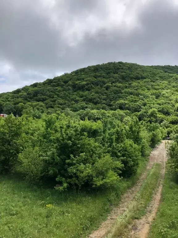 Участок в Краснодарский край, Новороссийск муниципальное образование, ... - Фото 1