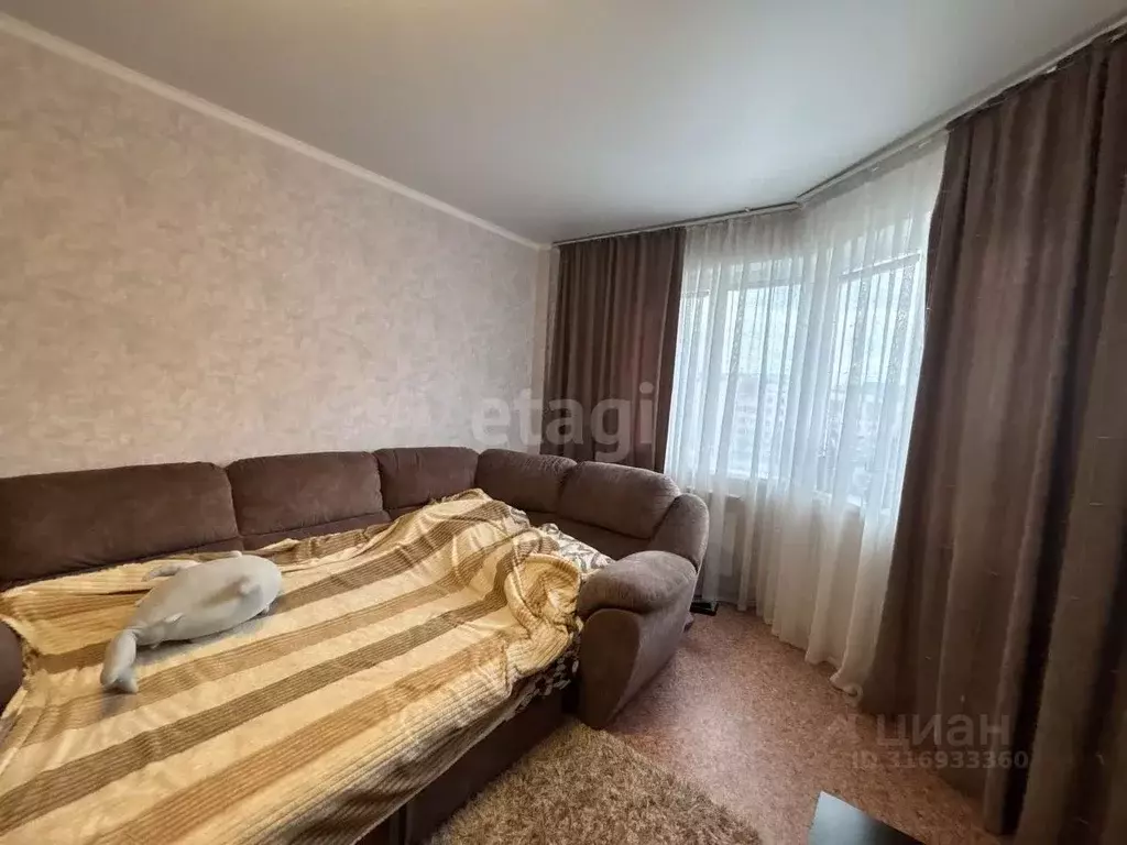 Комната Белгородская область, Губкин Севастопольская ул., 113 (38.0 м) - Фото 0