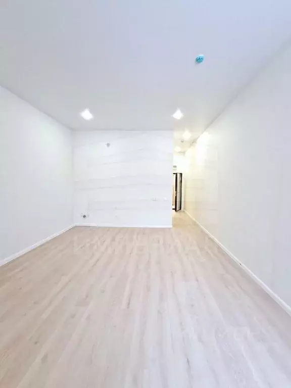 Студия Московская область, Люберцы Октябрьский просп., 403 (36.5 м) - Фото 2