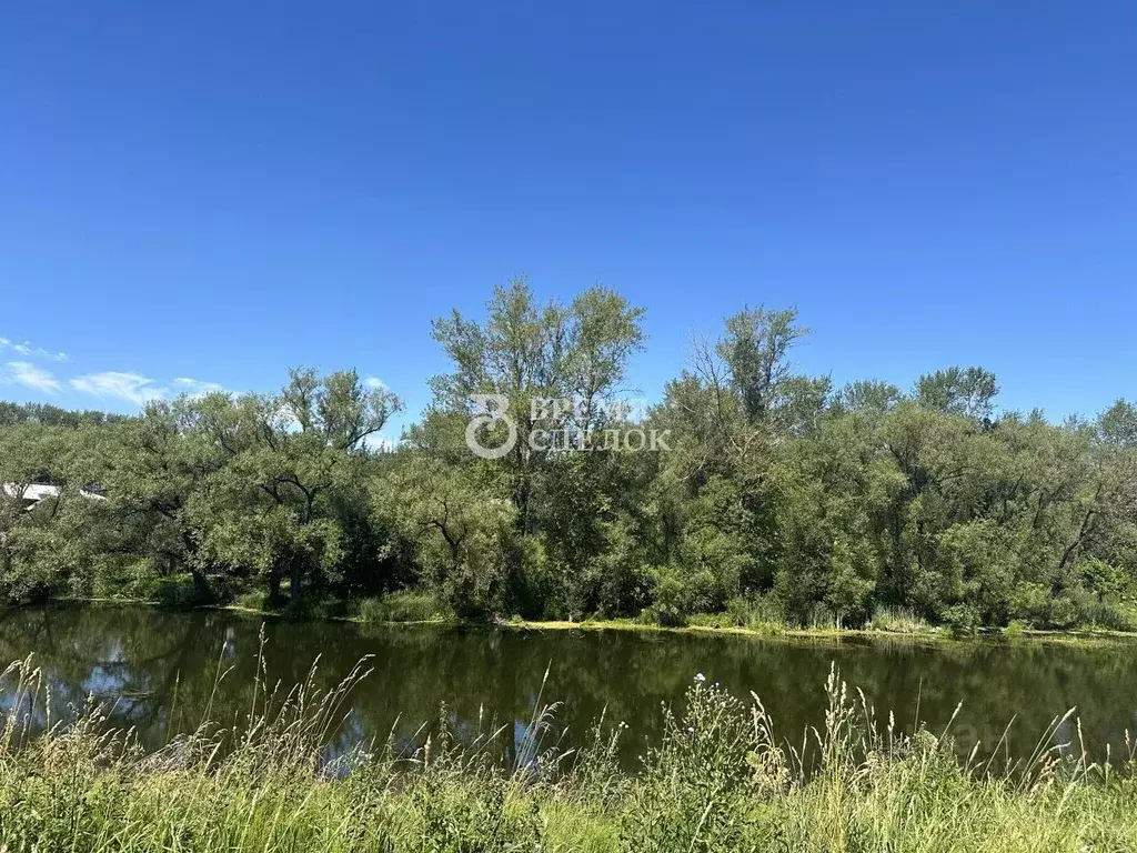 Участок в Владимирская область, Суздальский район, с. Павловское  ... - Фото 2