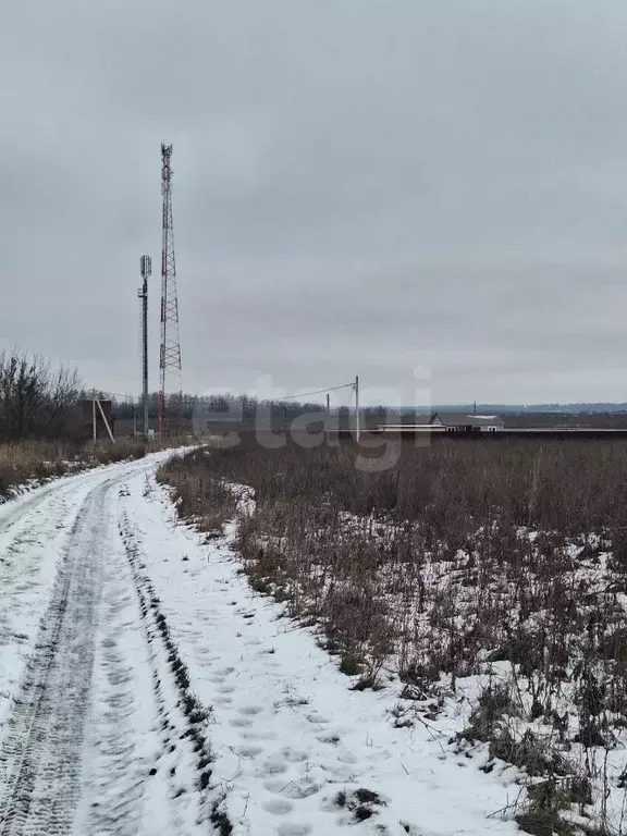 Участок в Тульская область, Веневский муниципальный округ, пос. ... - Фото 2