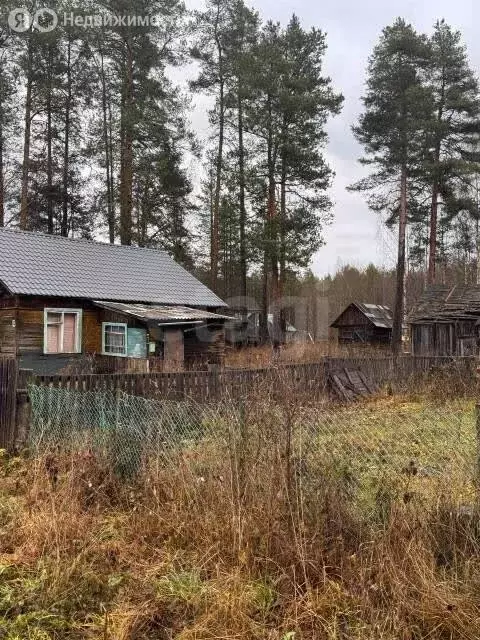 Дом в посёлок Гирвас, улица Петрова (59.1 м) - Фото 1