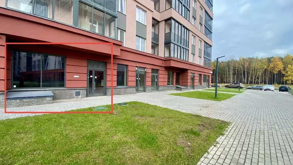 Помещение свободного назначения в Ленинградская область, Мурино ... - Фото 1