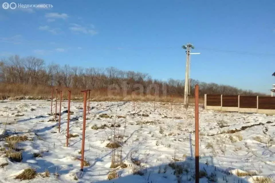 Участок в деревня Новочелатканово, Центральная улица (41.48 м) - Фото 2