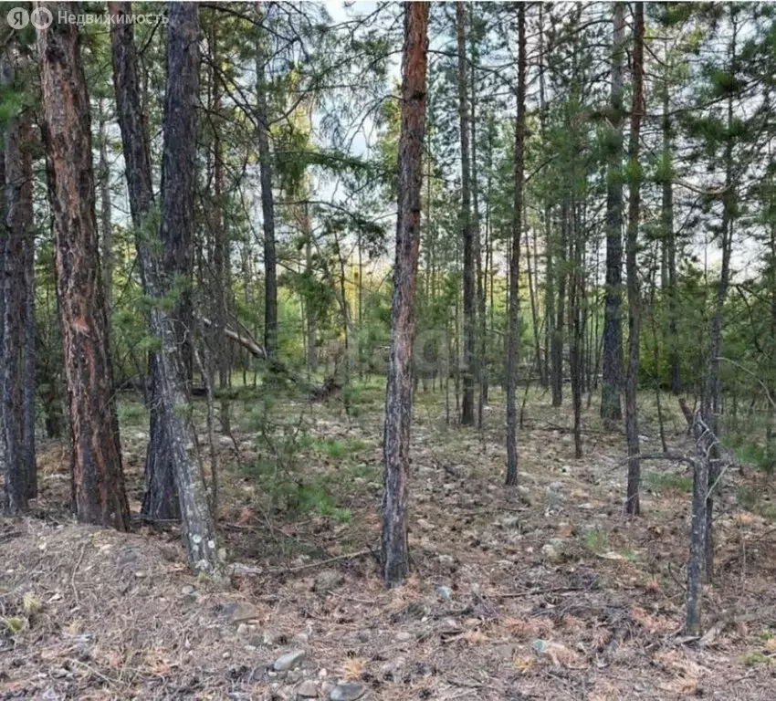 Участок в посёлок городского типа Нижний Бестях, улица Макара Баишева ... - Фото 2