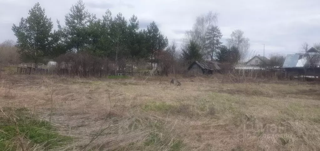 Участок в Нижегородская область, Нижний Новгород д. Новая, 110А (13.7 ... - Фото 2
