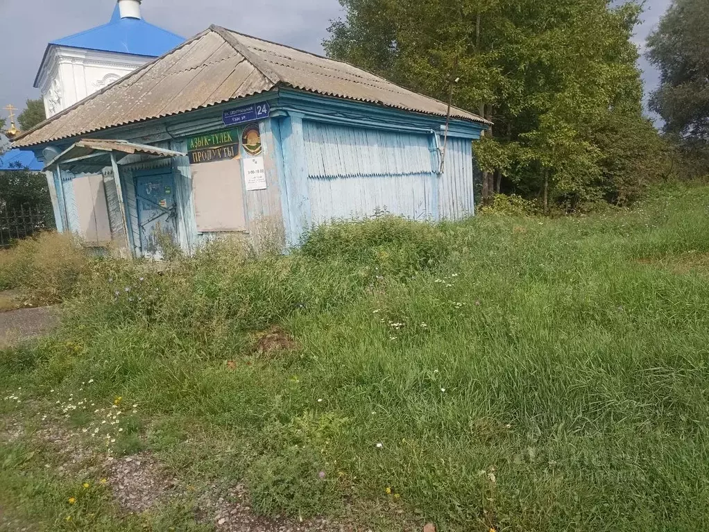 Торговая площадь в Башкортостан, Уфимский район, Зубовский сельсовет, ... - Фото 2
